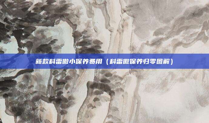新款科雷傲小保养费用(科雷傲保养归零图解)
