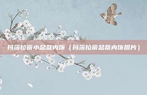 玛莎拉蒂小总裁内饰(玛莎拉蒂总裁内饰图片)