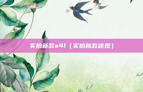 实拍新款a4l(实拍新款途观)