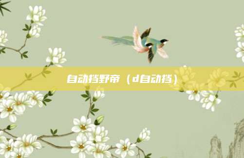 自动挡野帝(d自动挡)