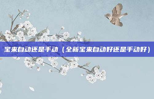 宝来自动还是手动(全新宝来自动好还是手动好)