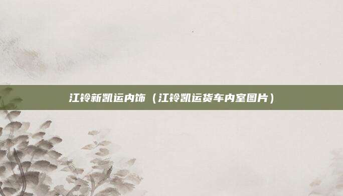 江铃新凯运内饰(江铃凯运货车内室图片)