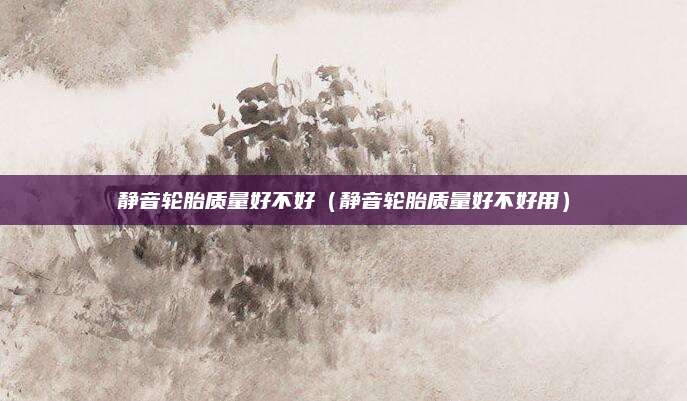 静音轮胎质量好不好(静音轮胎质量好不好用)