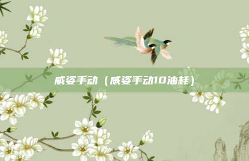 威姿手动(威姿手动10油耗)