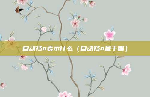 自动挡n表示什么(自动挡n是干嘛)