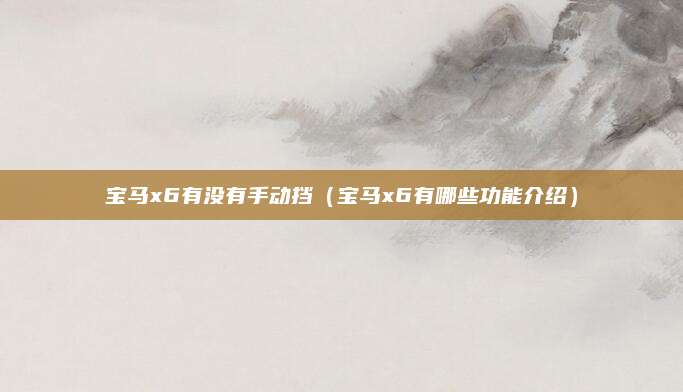 宝马x6有没有手动挡（宝马x6有哪些功能介绍）