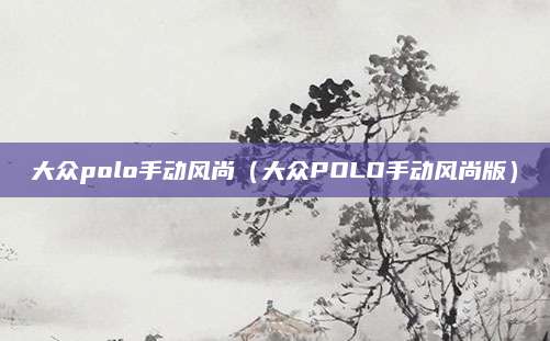 大众polo手动风尚(大众POLO手动风尚版)