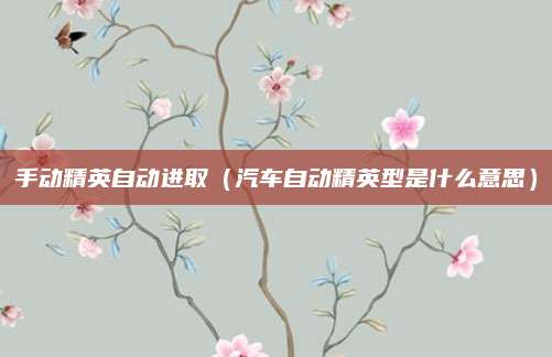 手动精英自动进取（汽车自动精英型是什么意思）