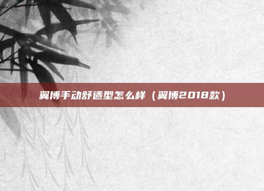 翼博手动舒适型怎么样（翼博2018款）