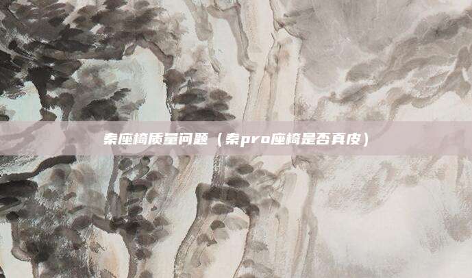 秦座椅质量问题(秦pro座椅是否真皮)