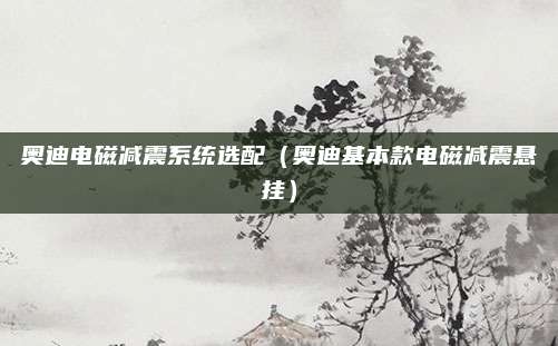 奥迪电磁减震系统选配(奥迪基本款电磁减震悬挂)