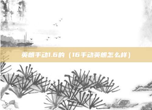 英朗手动1.6的(16手动英朗怎么样)