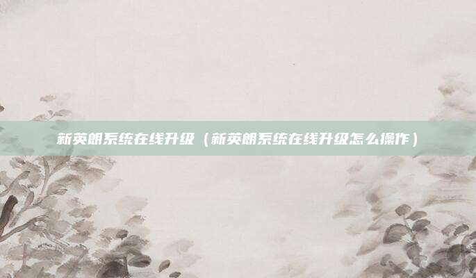 新英朗系统在线升级（新英朗系统在线升级怎么操作）