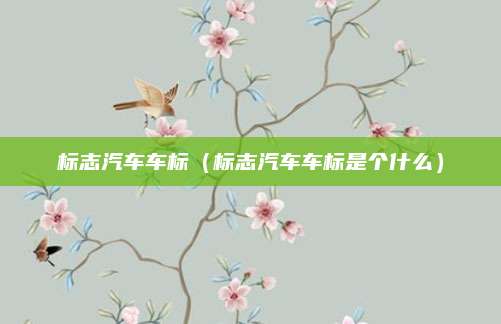 标志汽车车标(标志汽车车标是个什么)