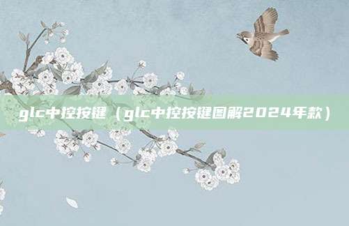 glc中控按键(glc中控按键图解2024年款)