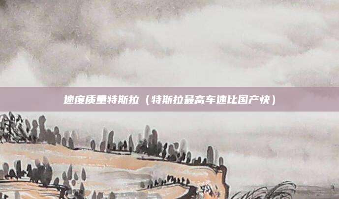 速度质量特斯拉(特斯拉最高车速比国产快)