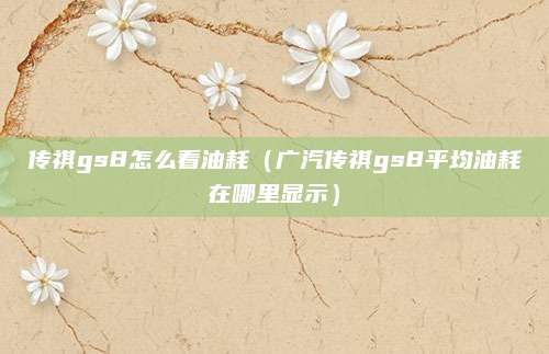 传祺gs8怎么看油耗(广汽传祺gs8平均油耗在哪里显示)