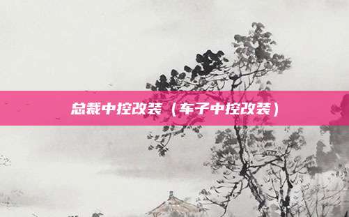 总裁中控改装（车子中控改装）