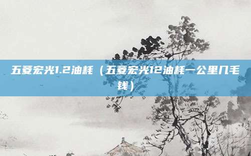 五菱宏光1.2油耗(五菱宏光12油耗一公里几毛钱)