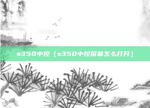 s350中控(s350中控屏幕怎么打开)