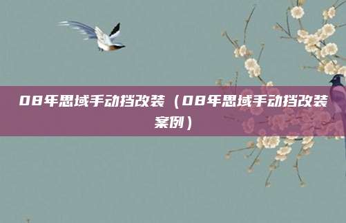 08年思域手动挡改装（08年思域手动挡改装案例）