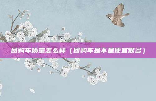 团购车质量怎么样(团购车是不是便宜很多)