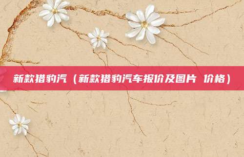 新款猎豹汽(新款猎豹汽车报价及图片 价格)