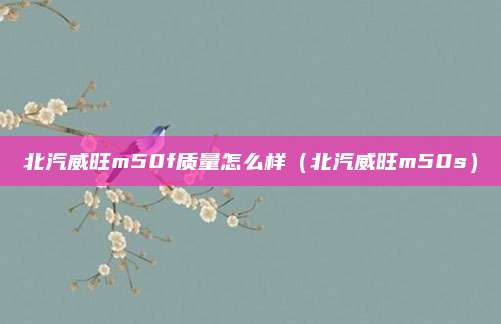 北汽威旺m50f质量怎么样（北汽威旺m50s）