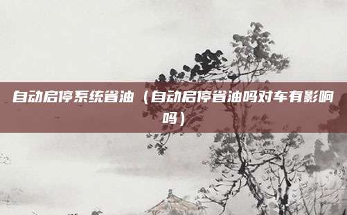 自动启停系统省油(自动启停省油吗对车有影响吗)