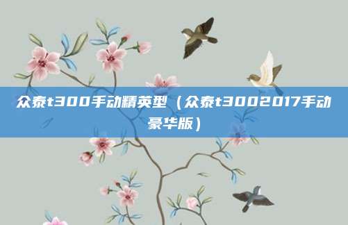 众泰t300手动精英型(众泰t3002017手动豪华版)