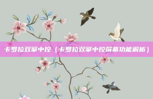 卡罗拉双擎中控(卡罗拉双擎中控屏幕功能解析)
