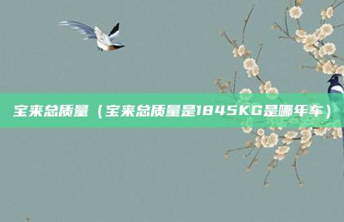 宝来总质量(宝来总质量是1845KG是哪年车)