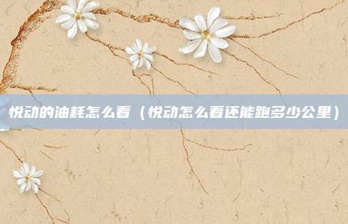 悦动的油耗怎么看(悦动怎么看还能跑多少公里)