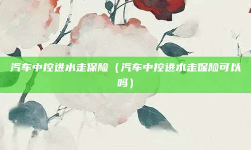汽车中控进水走保险(汽车中控进水走保险可以吗)