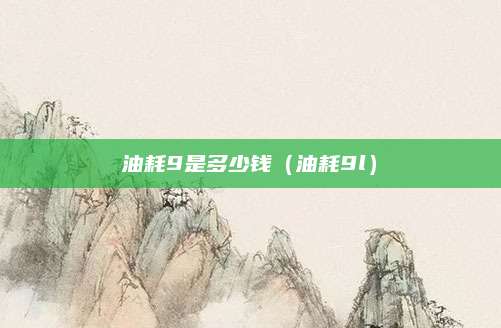 油耗9是多少钱(油耗9l)