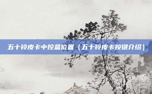 五十铃皮卡中控盒位置(五十铃皮卡按键介绍)