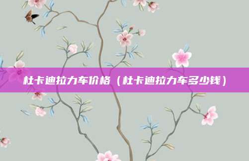 杜卡迪拉力车价格（杜卡迪拉力车多少钱）