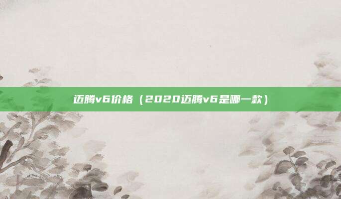 迈腾v6价格(2020迈腾v6是哪一款)