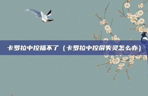 卡罗拉中控插不了(卡罗拉中控屏失灵怎么办)