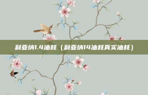 利亚纳1.4油耗（利亚纳14油耗真实油耗）