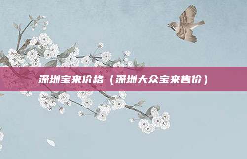 深圳宝来价格(深圳大众宝来售价)