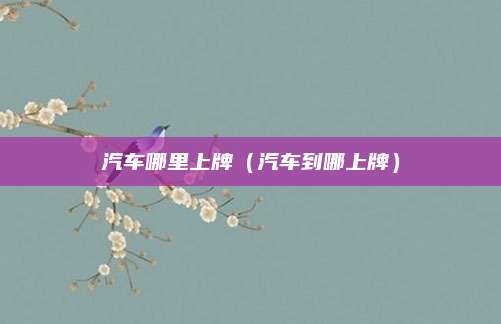 汽车哪里上牌(汽车到哪上牌)