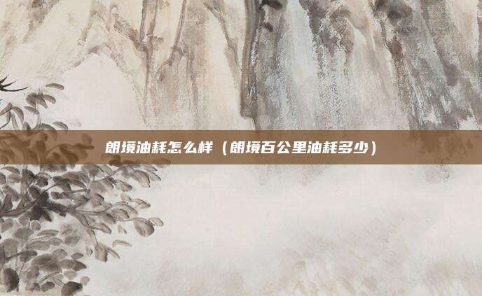 朗境油耗怎么样(朗境百公里油耗多少)