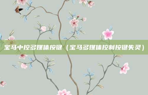 宝马中控多媒体按键(宝马多媒体控制按键失灵)