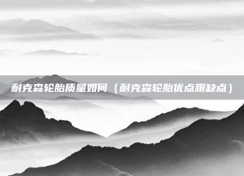 耐克森轮胎质量如何(耐克森轮胎优点跟缺点)