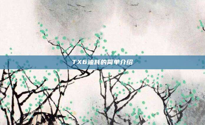 TX6油耗的简单介绍