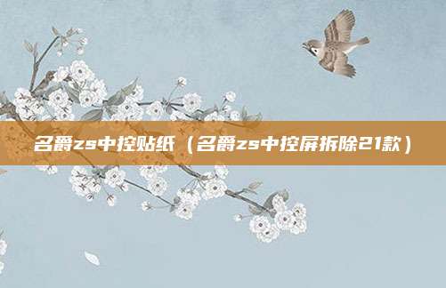 名爵zs中控贴纸(名爵zs中控屏拆除21款)