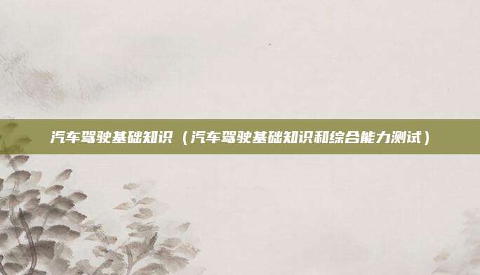 汽车驾驶基础知识(汽车驾驶基础知识和综合能力测试)