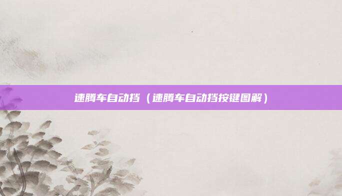 速腾车自动挡(速腾车自动挡按键图解)