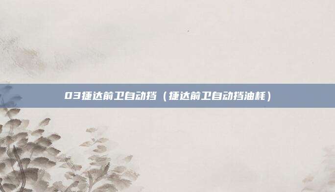 03捷达前卫自动挡(捷达前卫自动挡油耗)